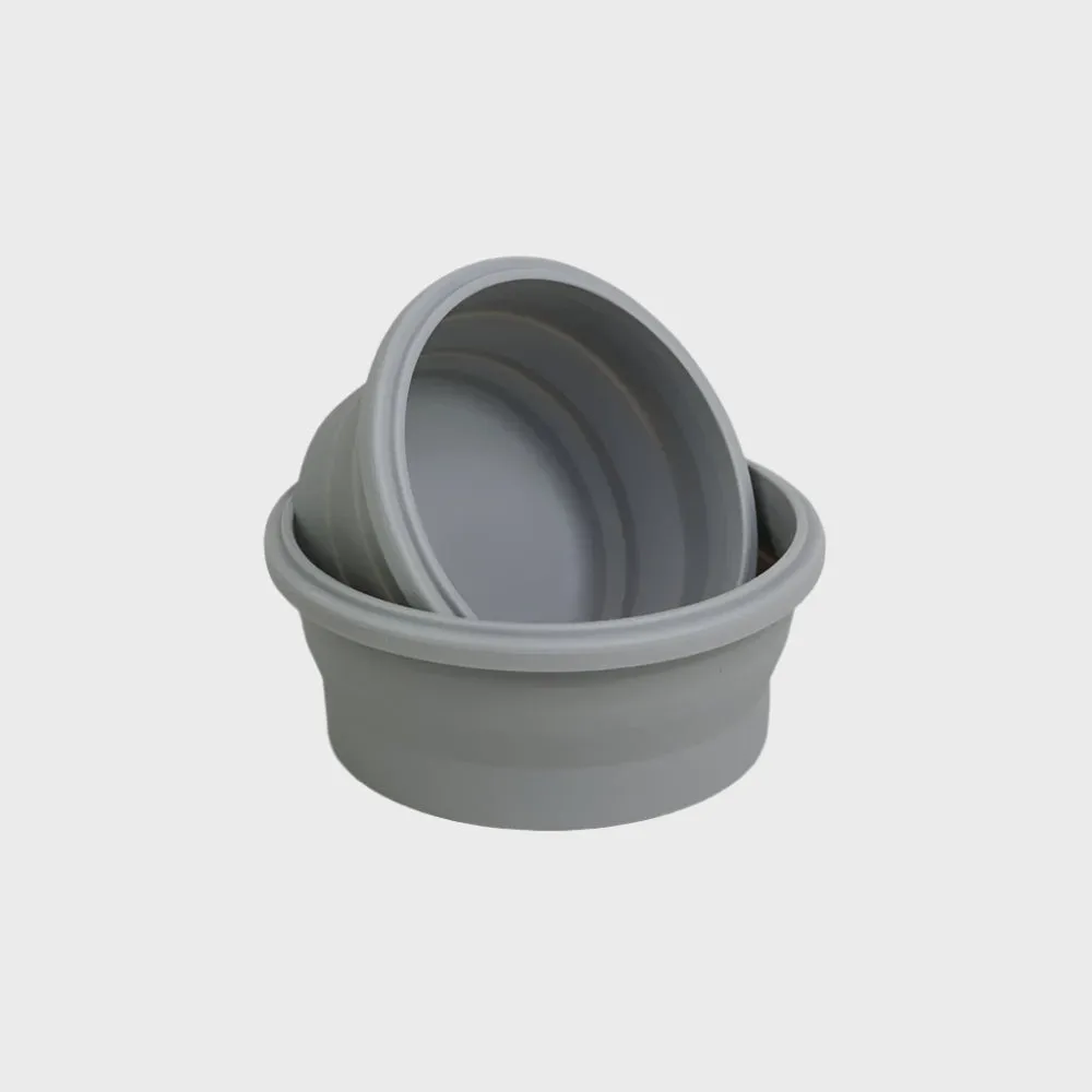 2 Piece Small Collapsible Bowl Set