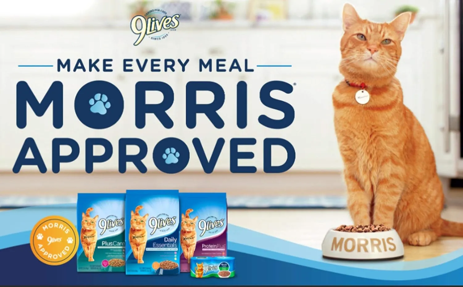 9Lives Plus Care Dry Cat Food, 3.15 lb. Bag