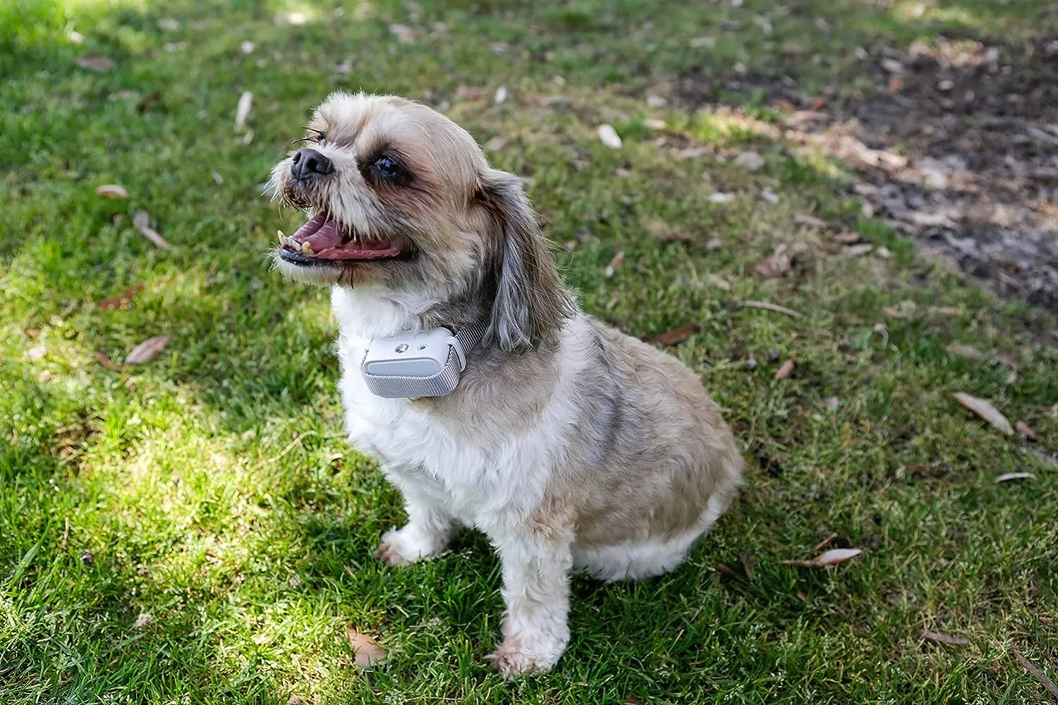 Barktec Citronella Spray Collar with Remote