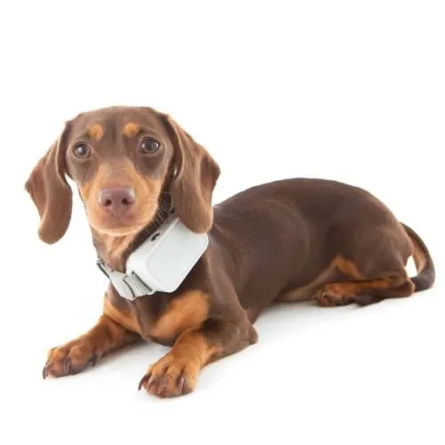 Barktec Rechargeable Sound & Citronella Spray Collar Ultimate Kit