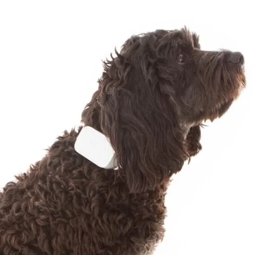 Barktec Rechargeable Sound & Citronella Spray Collar Ultimate Kit