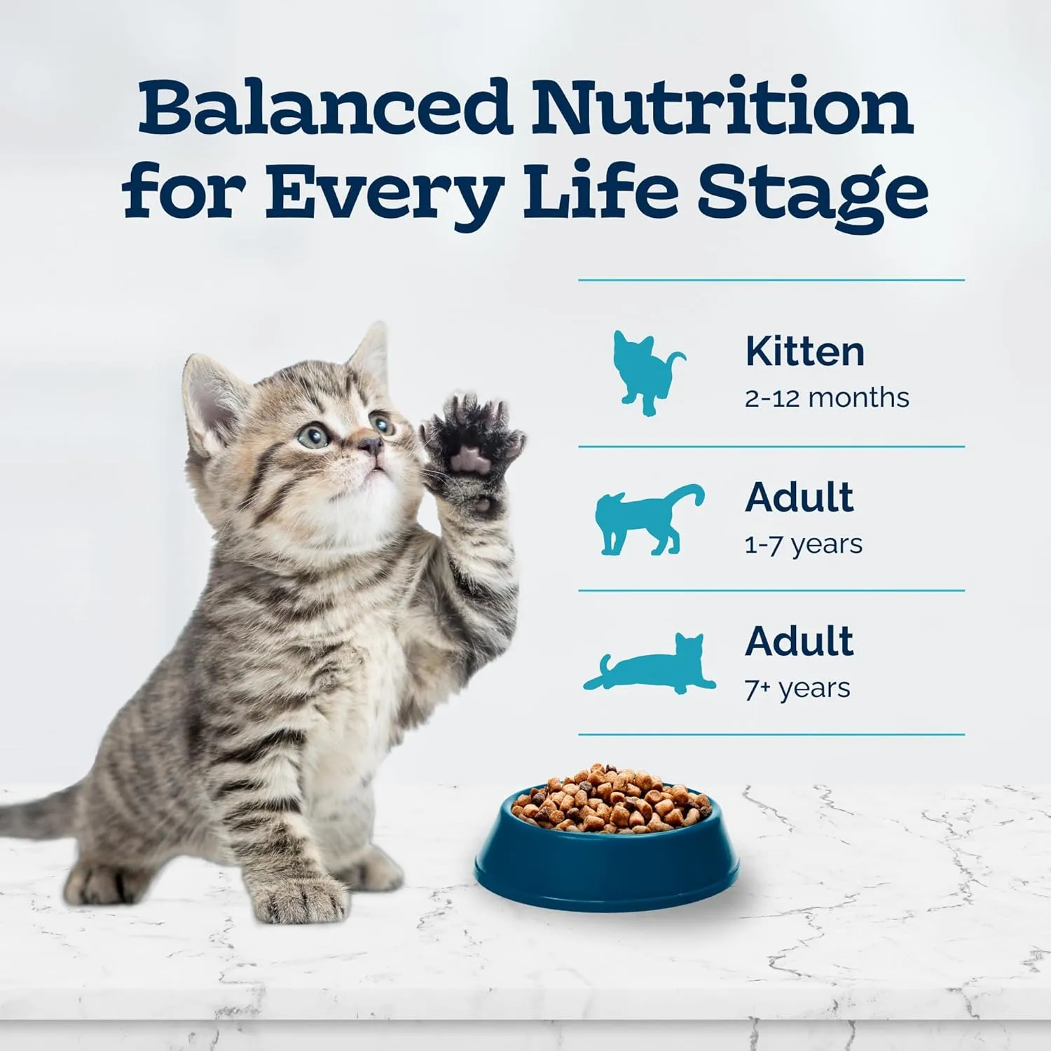 Blue Buffalo Tastefuls Kitten Food With DHA Dry Cat Food Made in the USA with Natural Ingredients, Chicken Recipe, 7-lb. Bag