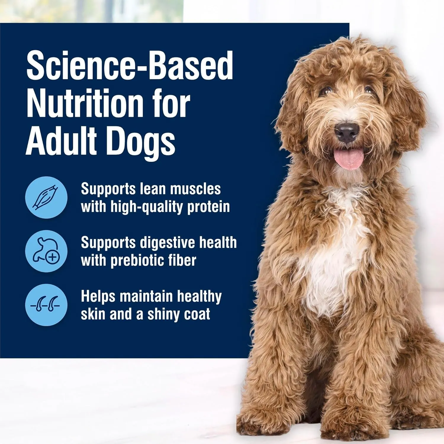 Blue Buffalo True Solutions Total Support Natural Dry Dog Food for Adult Dogs, Chicken, 11-lb. Bag