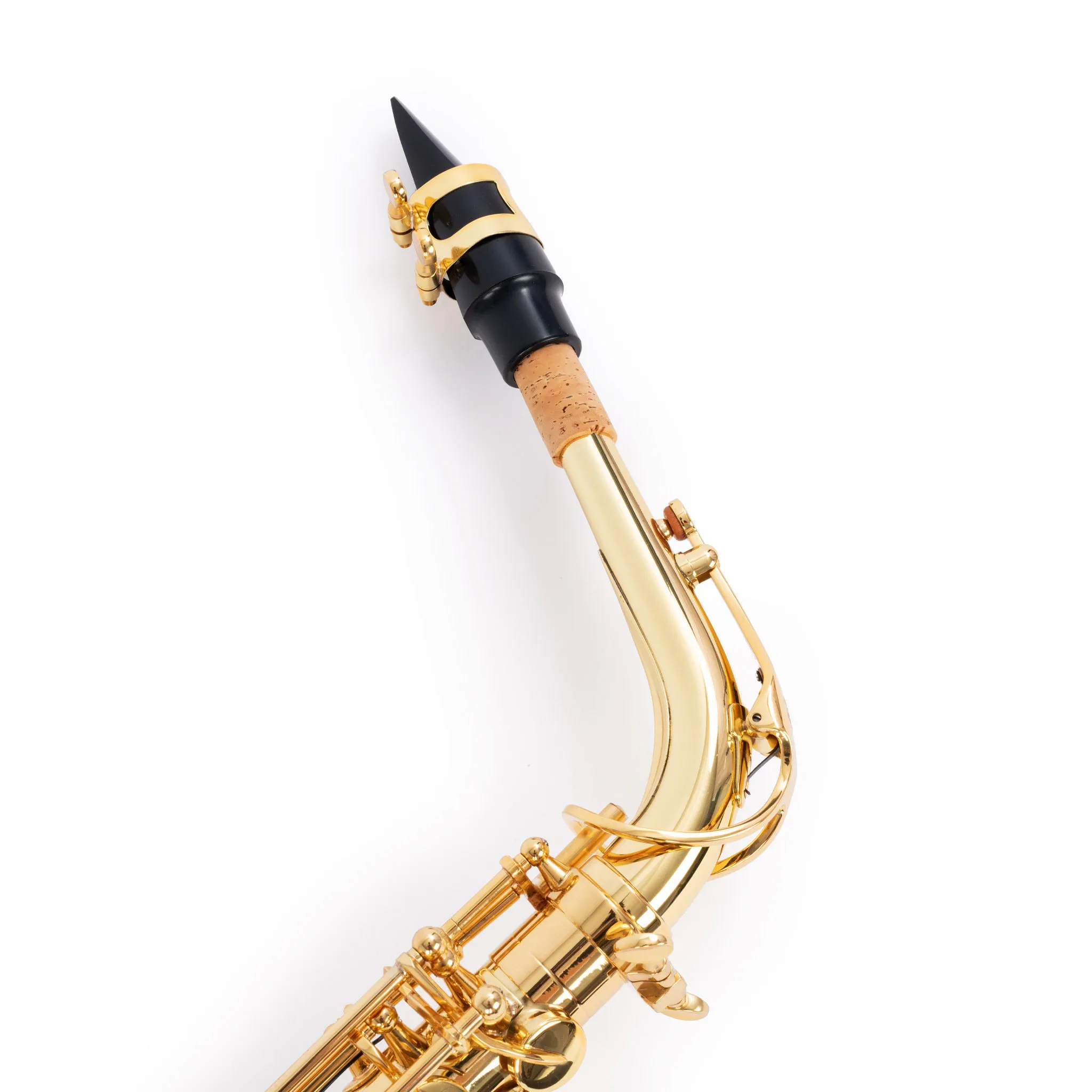 Buffet Crampon 100 series Eb alto saxophone outfit