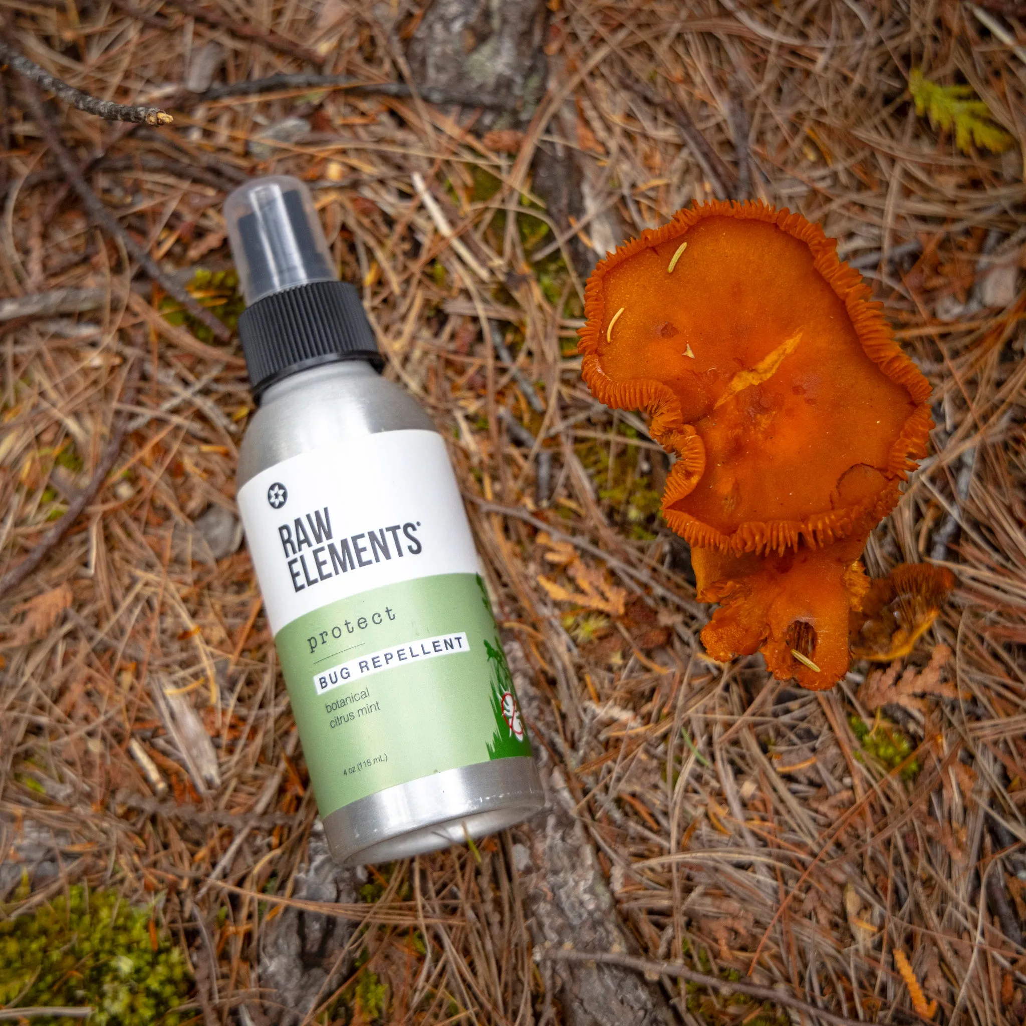 Bug Repellent w/Spray bottle