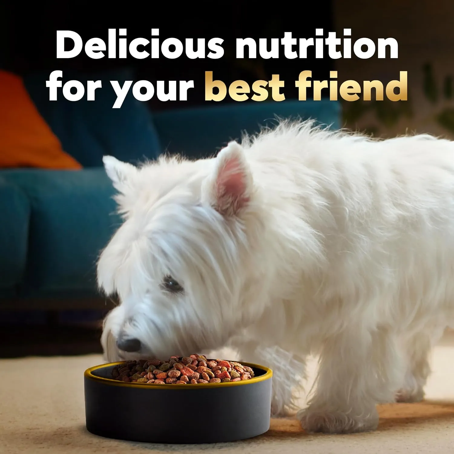 Cesar Small Breed Dry Dog Food Rotisserie Chicken Flavor and Spring Vegetables Garnish, 12 lb. Bag