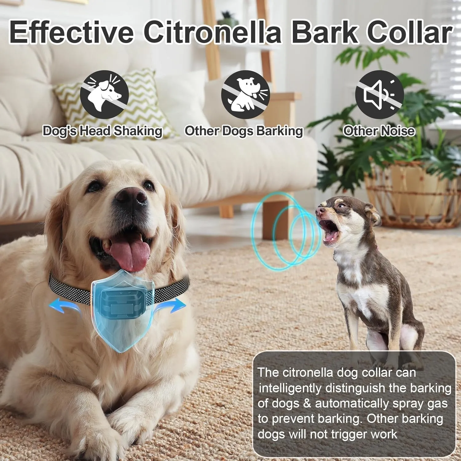 Citronella Bark Collar, Spray Dog Collar [1 Citronella Refill] Level 3 Sensitivity Adjustable Waterproof Chargeable Bark for Small, Medium & Large Dog