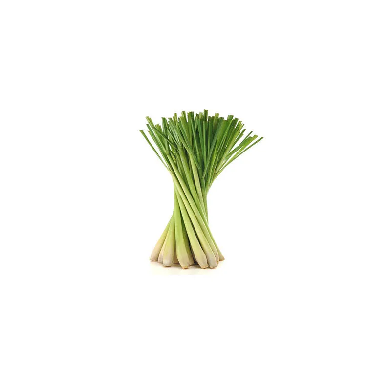 Citronella Essential Oil Organic