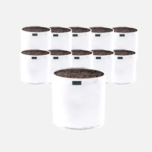 Commercial Grow Bag Pack of 10, Air Pruning Mesh Fabric Plant Containers (2 Gallon, White)