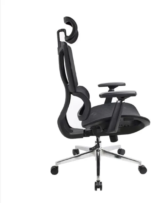 Ergonomic Mesh Office Chair with Adjustable Lumbar Support, Sliding Seat, Headrest, 3D Armrests & High Back – Executive Comfort for Home and Office Use