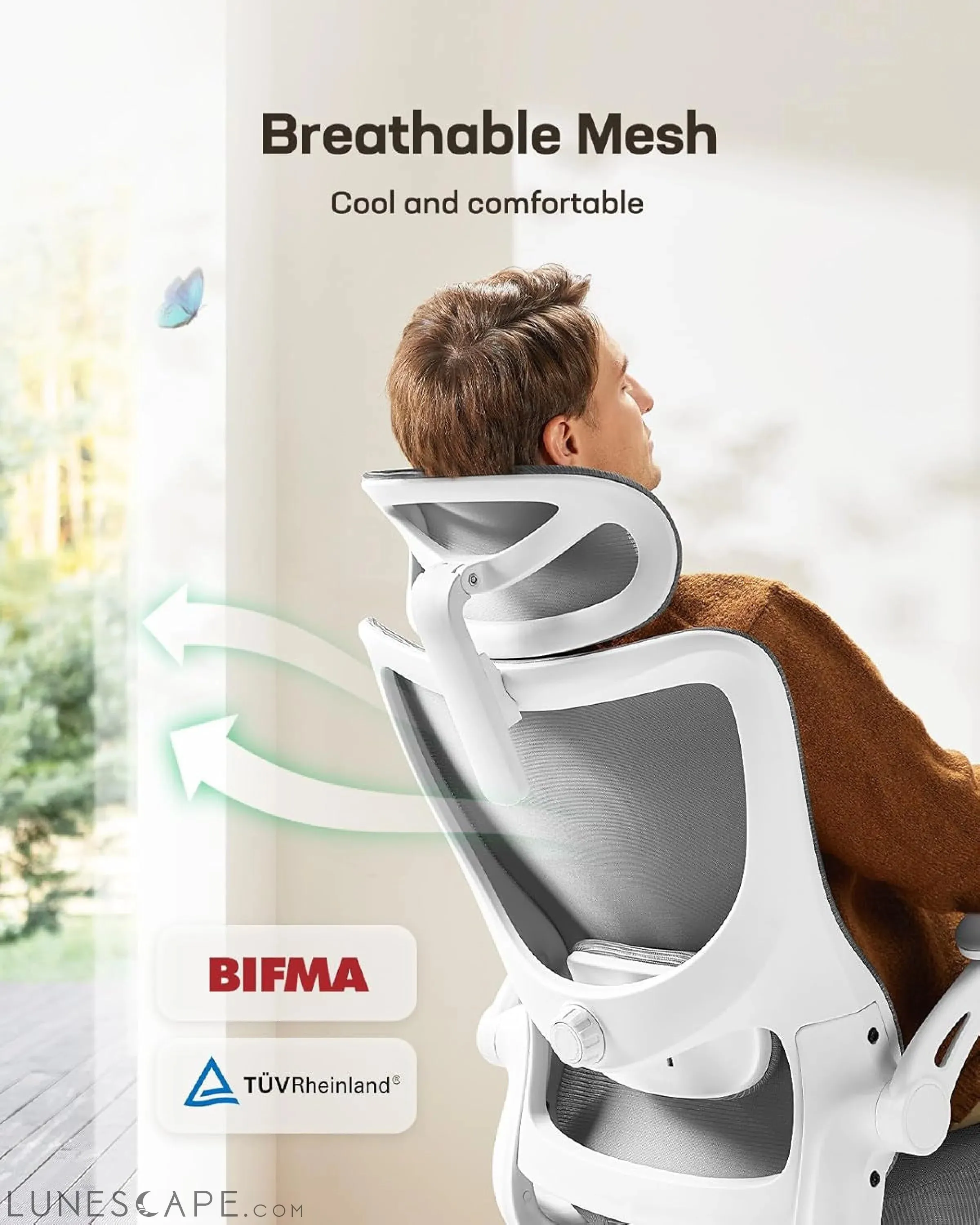 Ergonomic Office Chair: Office Computer Desk Chair with High Back Mesh