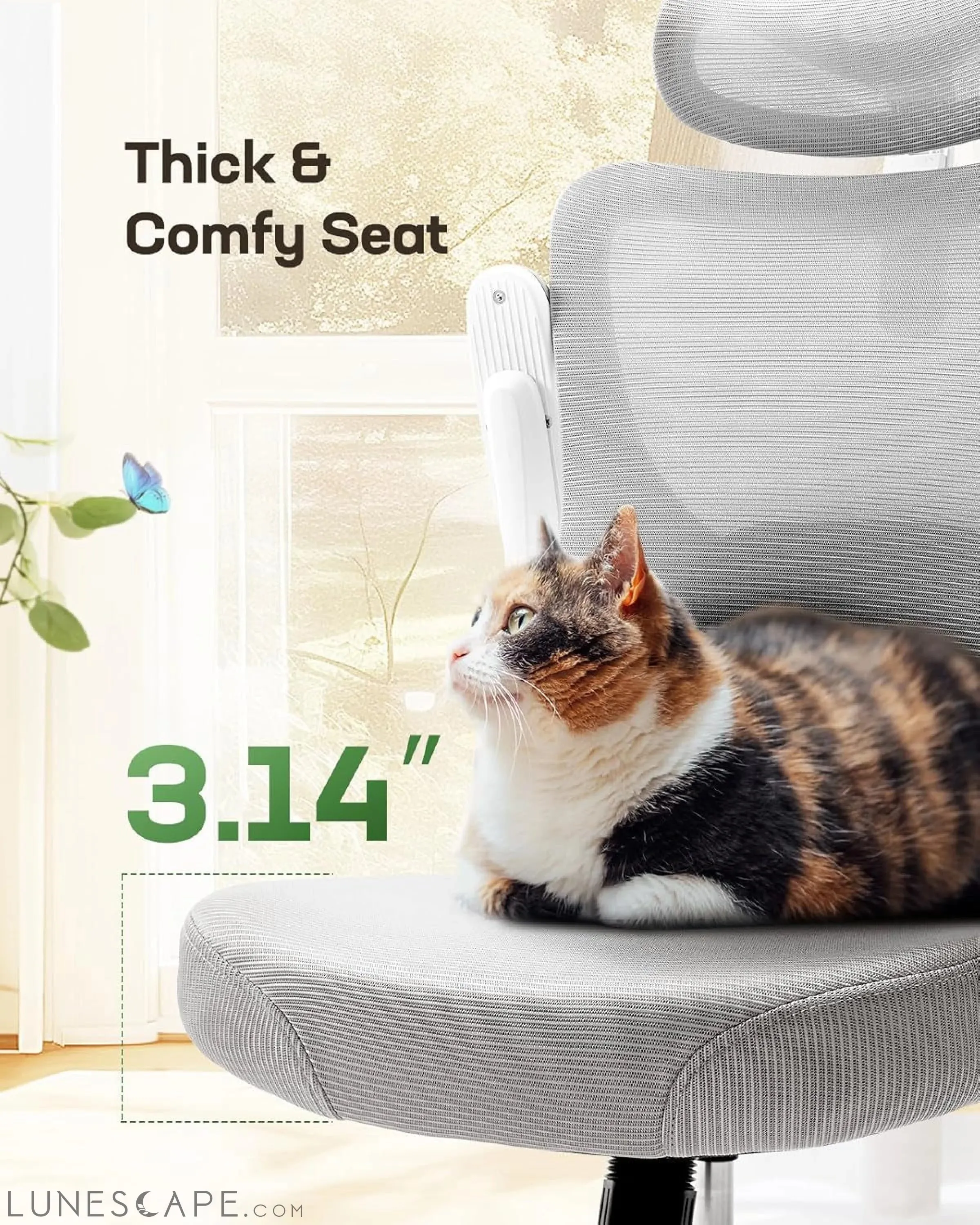 Ergonomic Office Chair: Office Computer Desk Chair with High Back Mesh