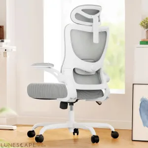 Ergonomic Office Chair: Office Computer Desk Chair with High Back Mesh
