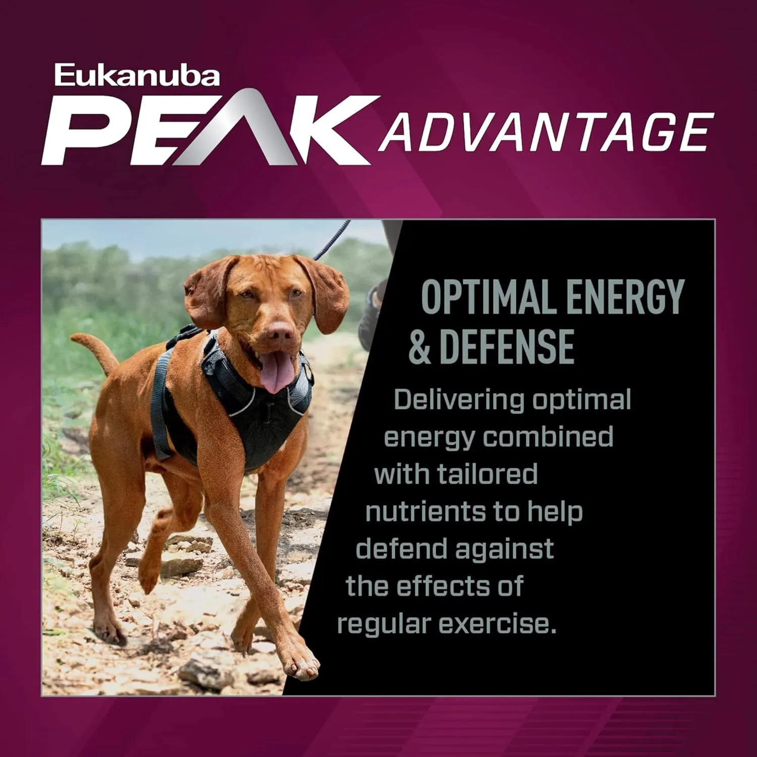 Eukanuba Premium Performance 26/16 Exercise Dry Dog Food, Dry Dog Food with Protein and Fat to Support Optimal Energy, 28 lb Bag
