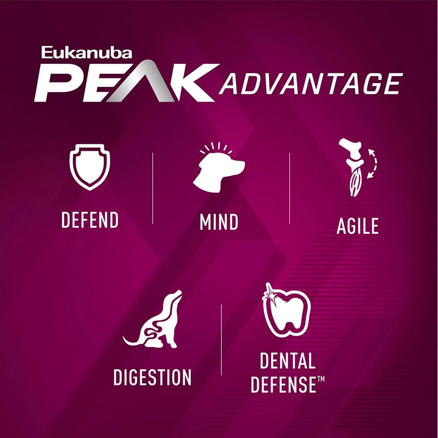 EUKANUBA Premium Performance 26/16 Exercise Small Bites Dry Dog Food 3.5 lb Bag