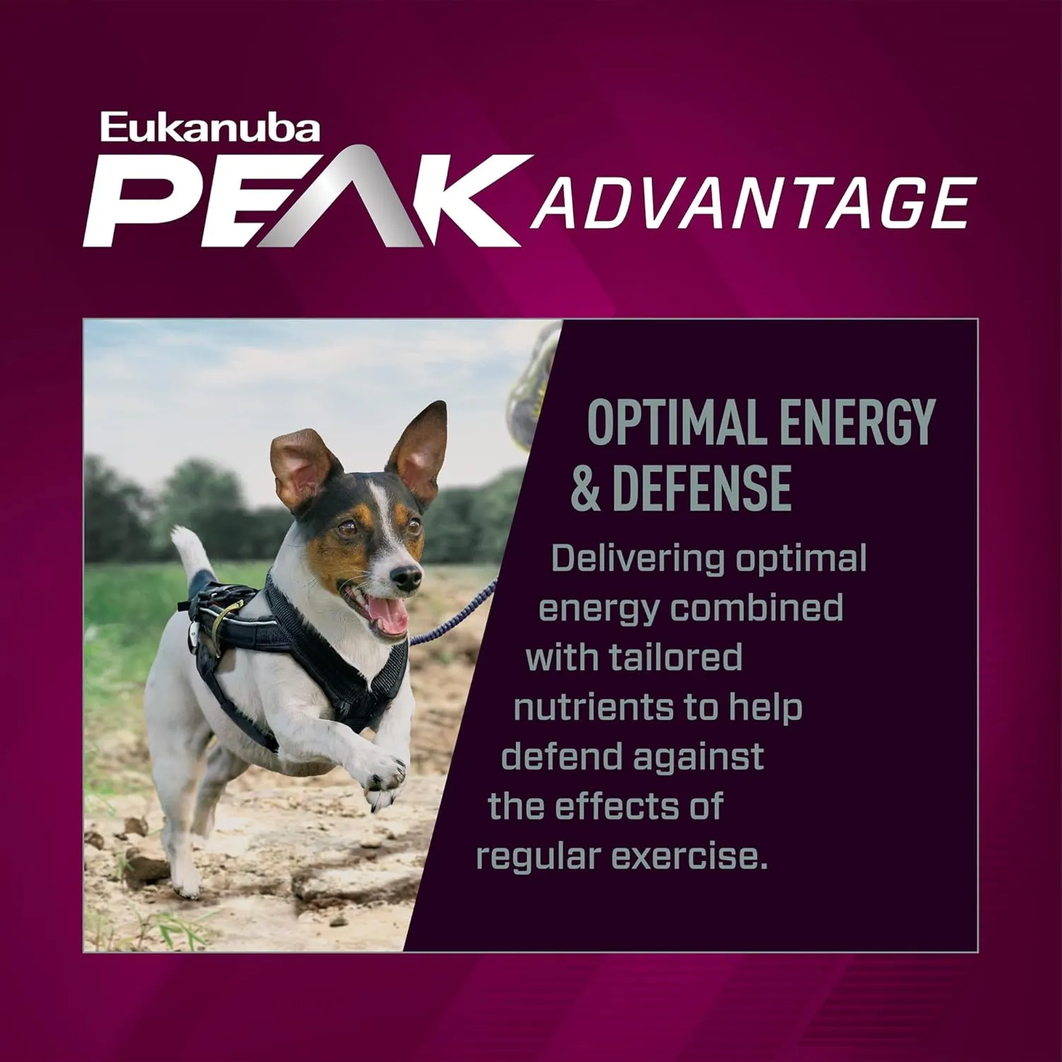 EUKANUBA Premium Performance 26/16 Exercise Small Bites Dry Dog Food 3.5 lb Bag