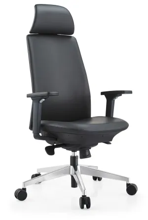 Executive Ergonomic CEO Office chair