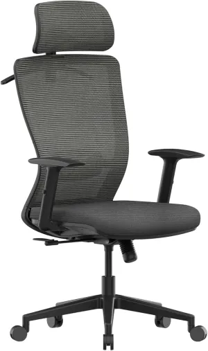 FLEXISPOT Ergonomic Office Chair, High Back Home Office Desk Chairs with Adjustable Lumbar Support, Armrests,90-120° Tilt Lock, Comfort Wide Cushion, Swivel Computer Gaming Chairs for Adults (Gray)