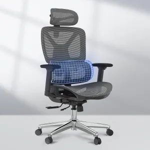 FLEXISPOT Premium Ergonomic Office Chair - Adjustable 3D Armrests, Dynamic Lumbar Support, Recline & Tilt Function, Mesh Seat, for Home & Office Use, OC4-SD Dark Grey