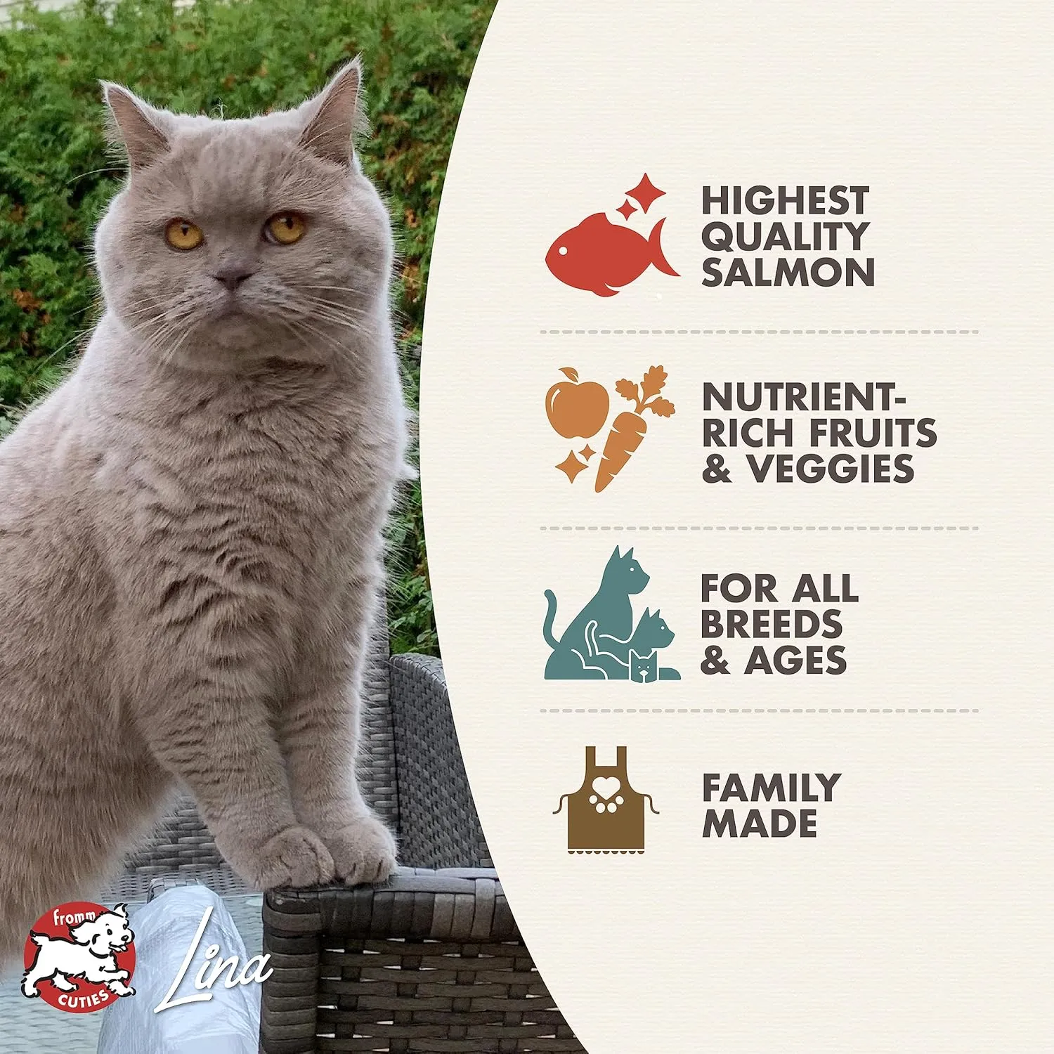 Fromm Four-Star Nutritionals Salmon Tunachovy Cat Food - Premium Dry Cat Food - Salmon Recipe - 10 lb