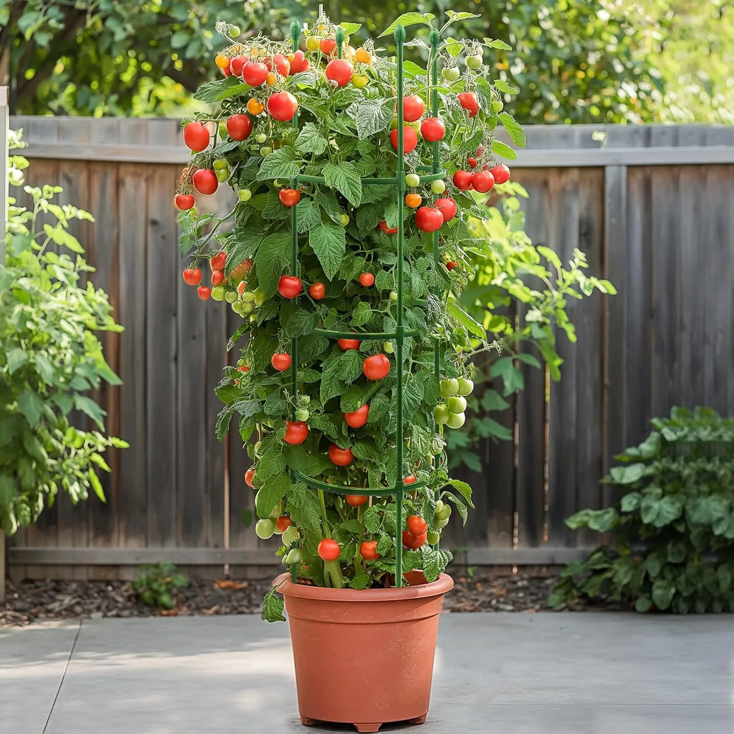 G-LEAF Adjustable Detachable Tomato Cage 3 Pack Tomatoes Plant Support Cages Trellis Garden Sticks/Stakes for Climbing Plants, Vegetables, Fruit, Flowers, 60 inch (Garden Ties Include)