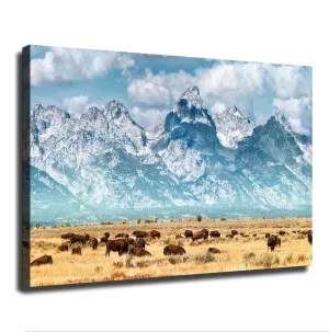 Herd of Bison Buffalo Grazing Near Grand Teton Mountains Wyoming Snow Covered Mountain Range Poster Picture HD Printing Modern Home Bedroom Wall Art Kitchen Office Decoration (Unframed,24×36inch)
