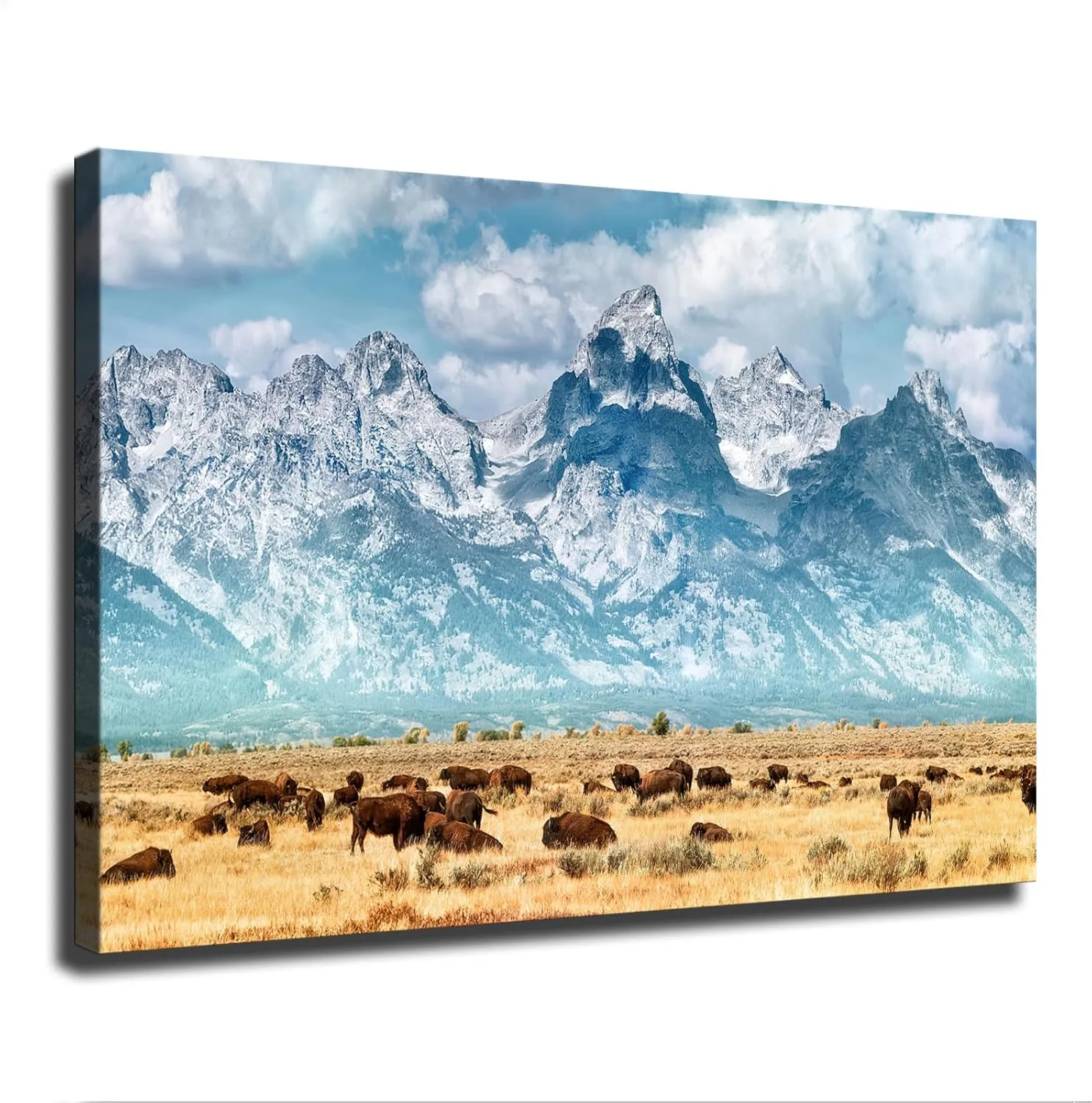 Herd of Bison Buffalo Grazing Near Grand Teton Mountains Wyoming Snow Covered Mountain Range Poster Picture HD Printing Modern Home Bedroom Wall Art Kitchen Office Decoration (Unframed,24×36inch)