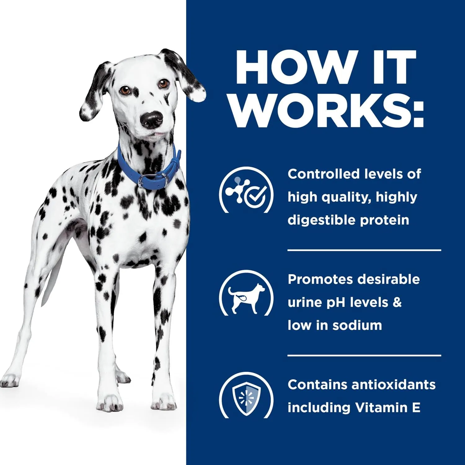 Hill's Prescription Diet u/d Urinary Care Dry Dog Food, Veterinary Diet, 8.5 lb. Bag