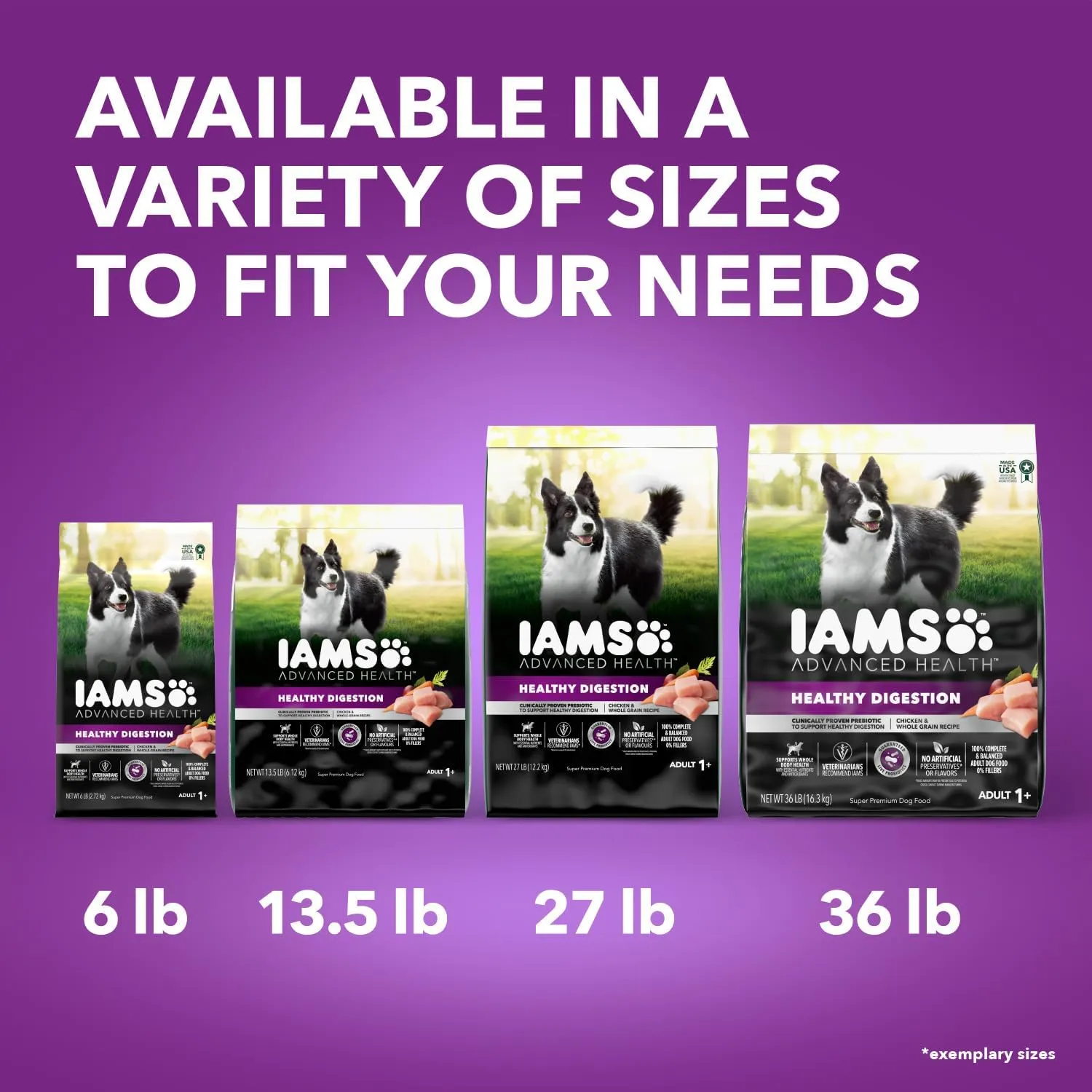 IAMS Advanced Health Adult Healthy Digestion Dry Dog Food with Real Chicken, 27 lb. Bag