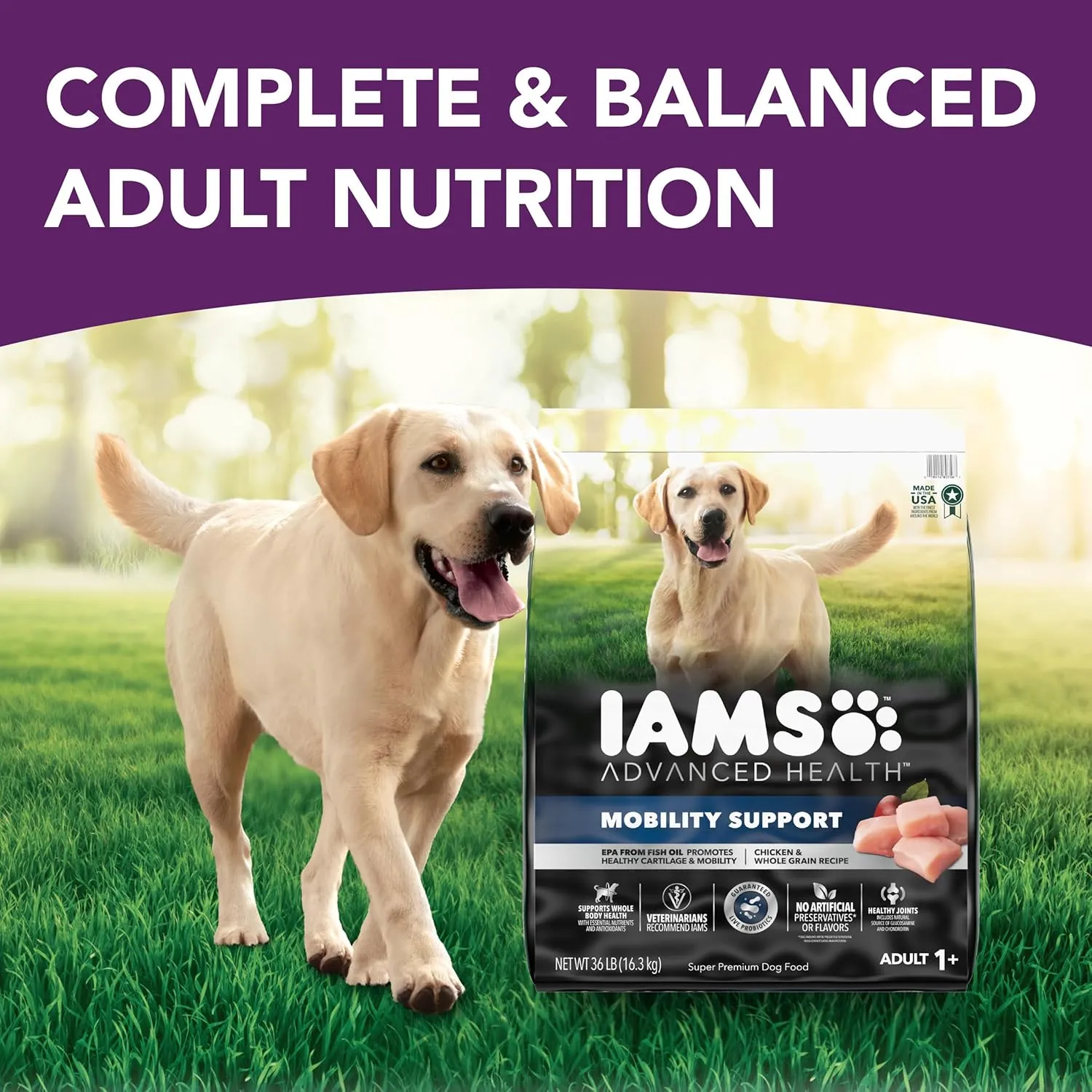 IAMS Advanced Health Mobility Support Chicken and Whole Grain Recipe Adult Dry Dog Food, 36 lb. Bag
