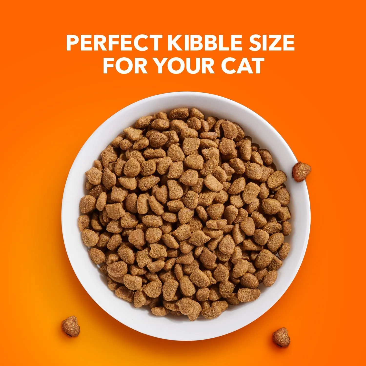 IAMS Proactive Health Adult Urinary Tract Healthy Dry Cat Food with Chicken, 16 lb. Bag