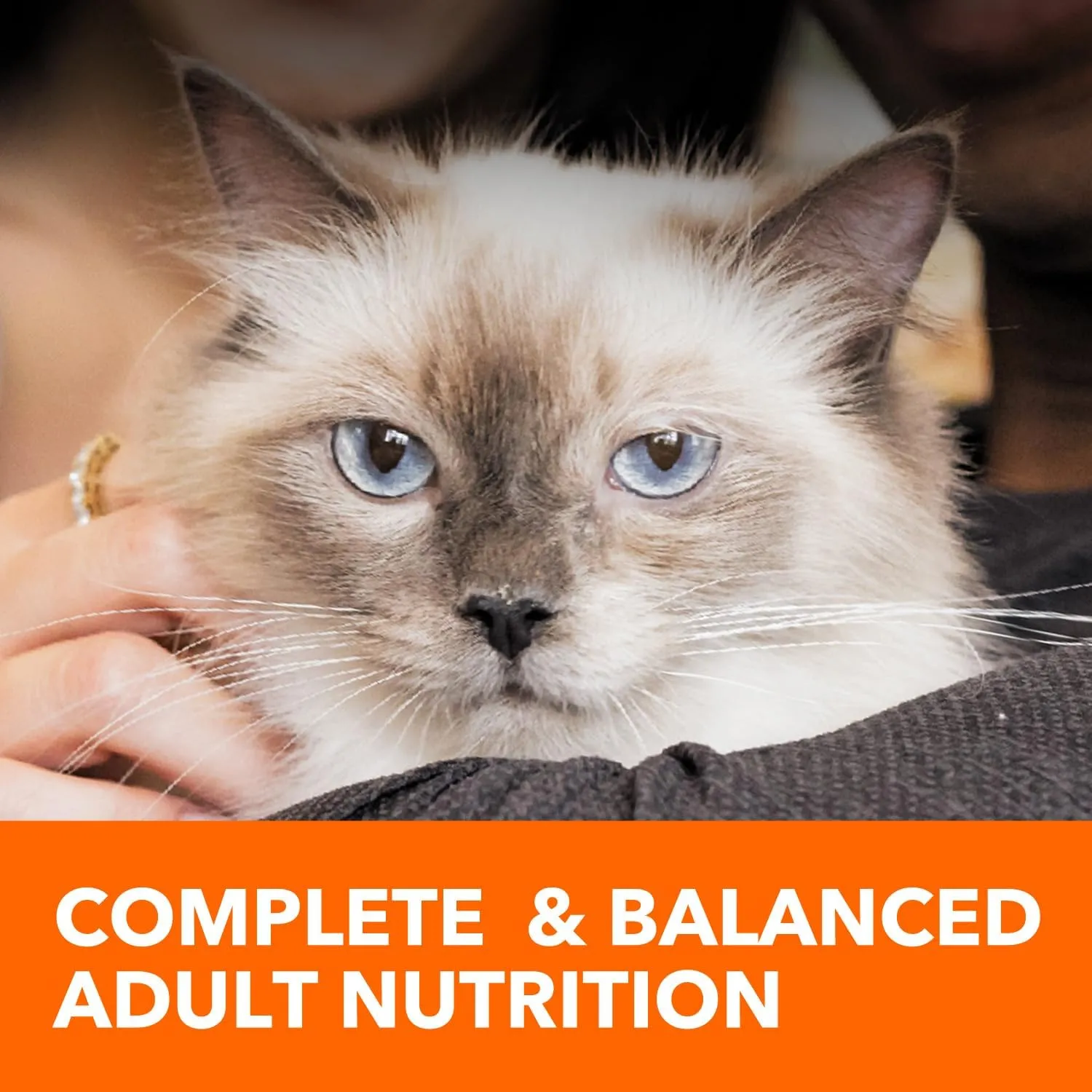 IAMS Proactive Health Adult Urinary Tract Healthy Dry Cat Food with Chicken, 16 lb. Bag