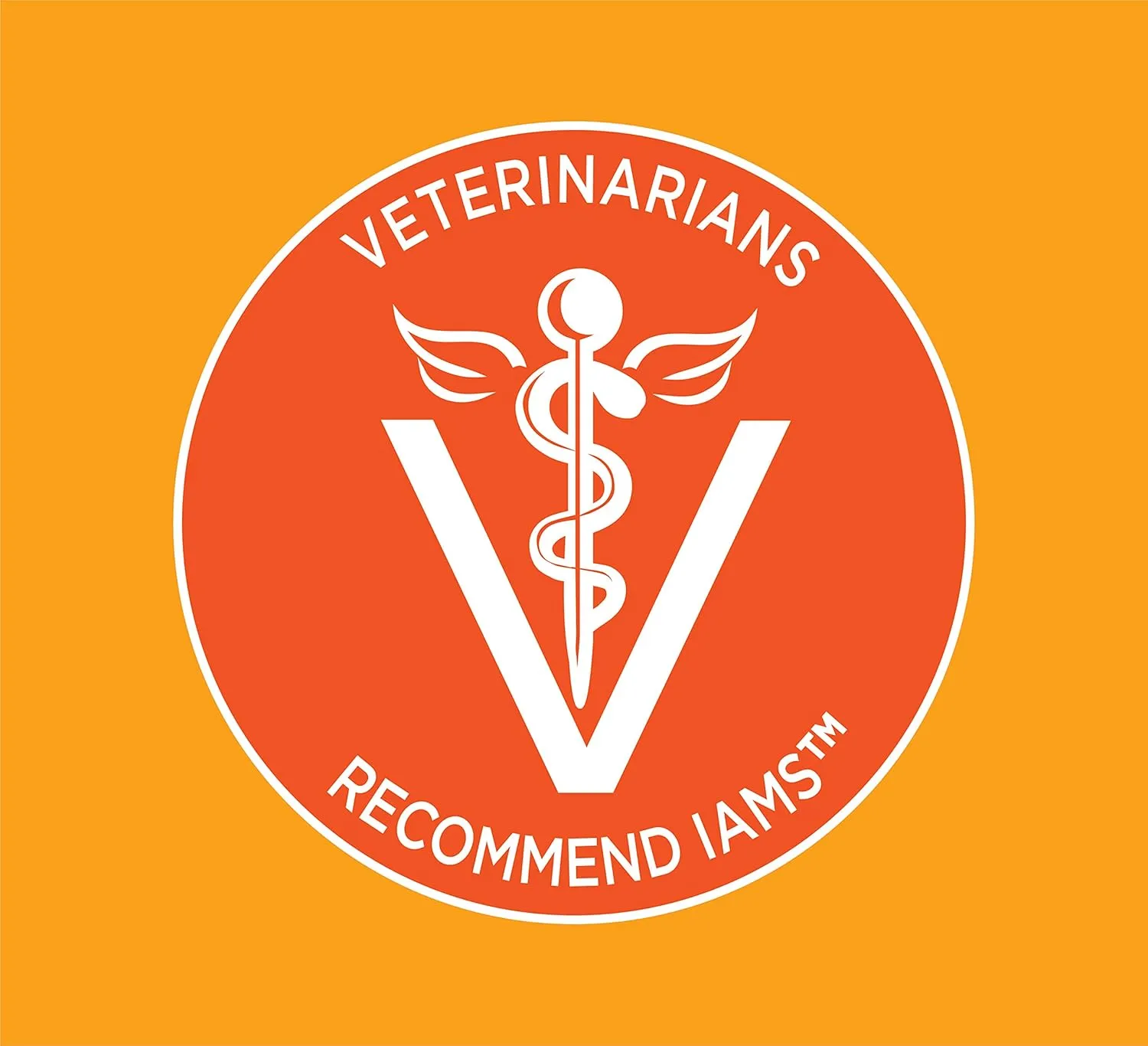 Iams Proactive Health Healthy Adult Dry Cat Food and Grain Free Paté Wet Cat Food, Chicken Recipes