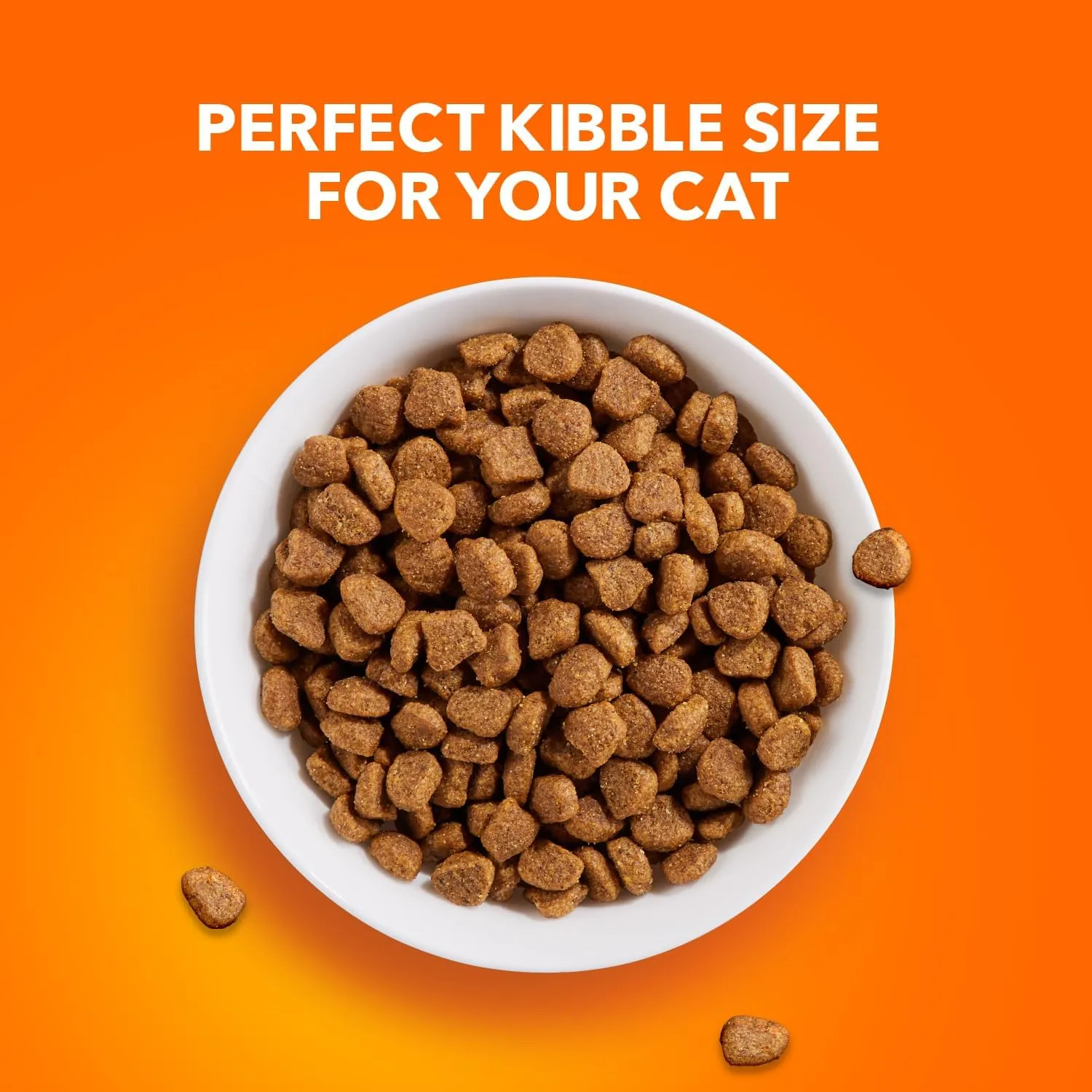IAMS Proactive Health Healthy Adult Dry Cat Food with Chicken, 22 lb. Bag