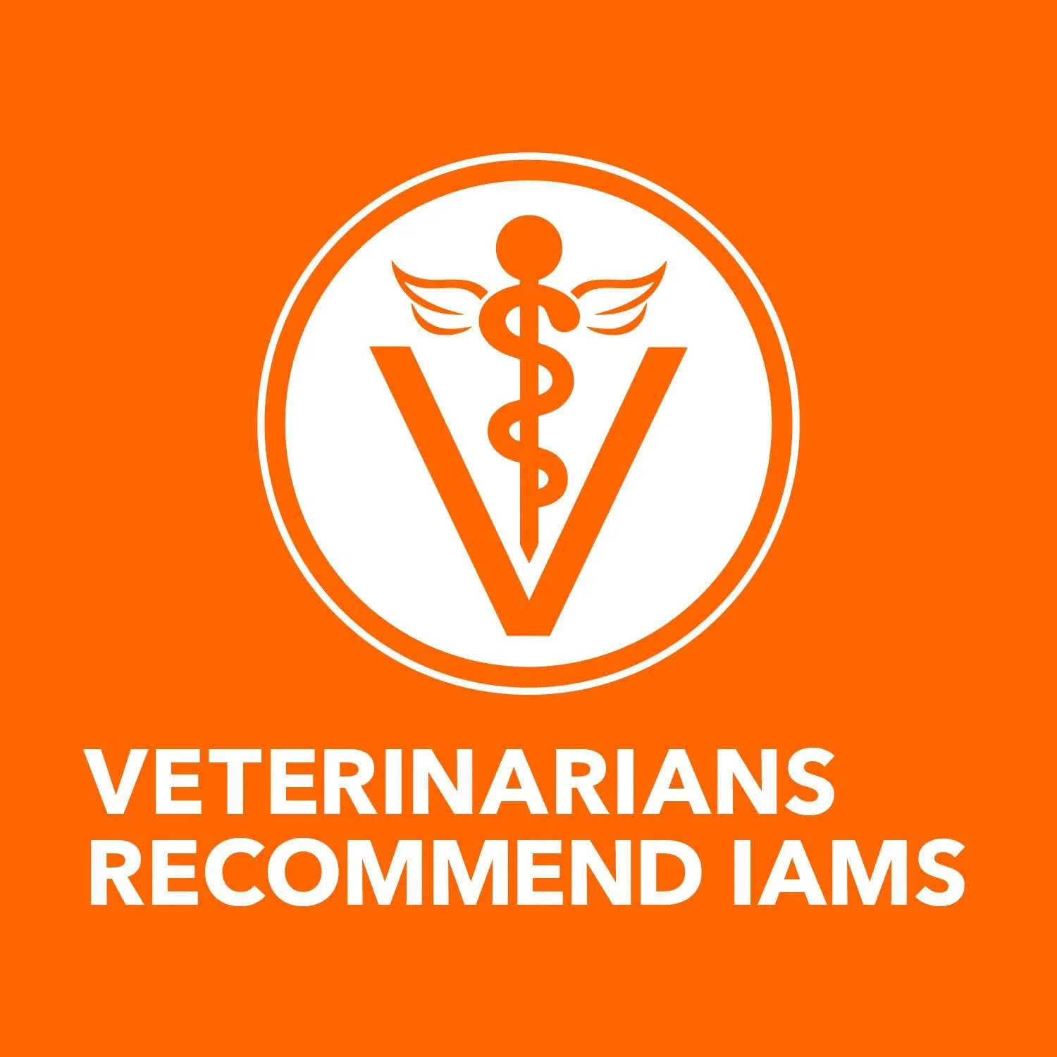 IAMS Proactive Health Healthy Adult Dry Cat Food with Chicken, 7 lb. Bag