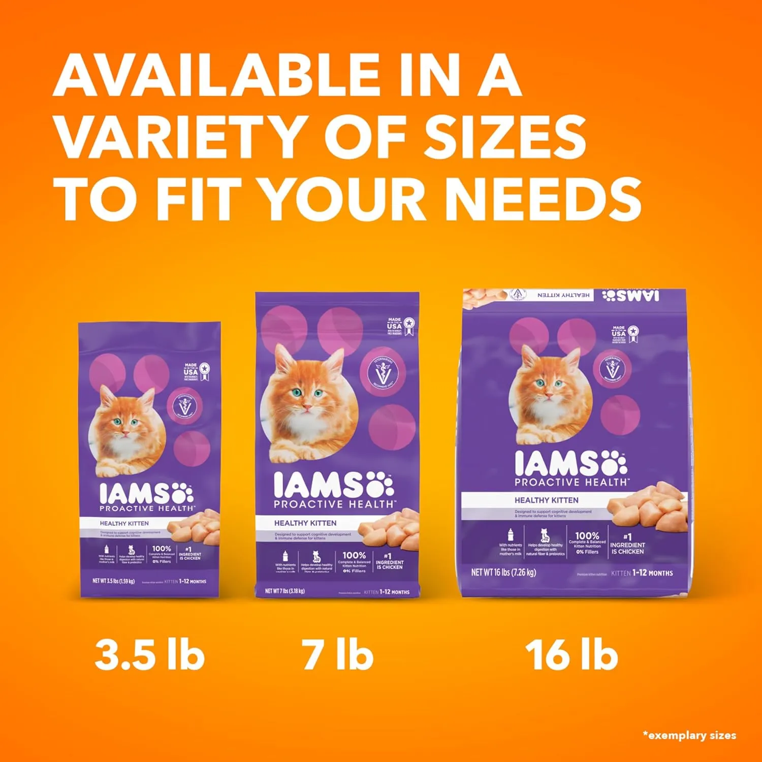 IAMS Proactive Health Healthy Kitten Dry Cat Food with Chicken, 16 lb. Bag