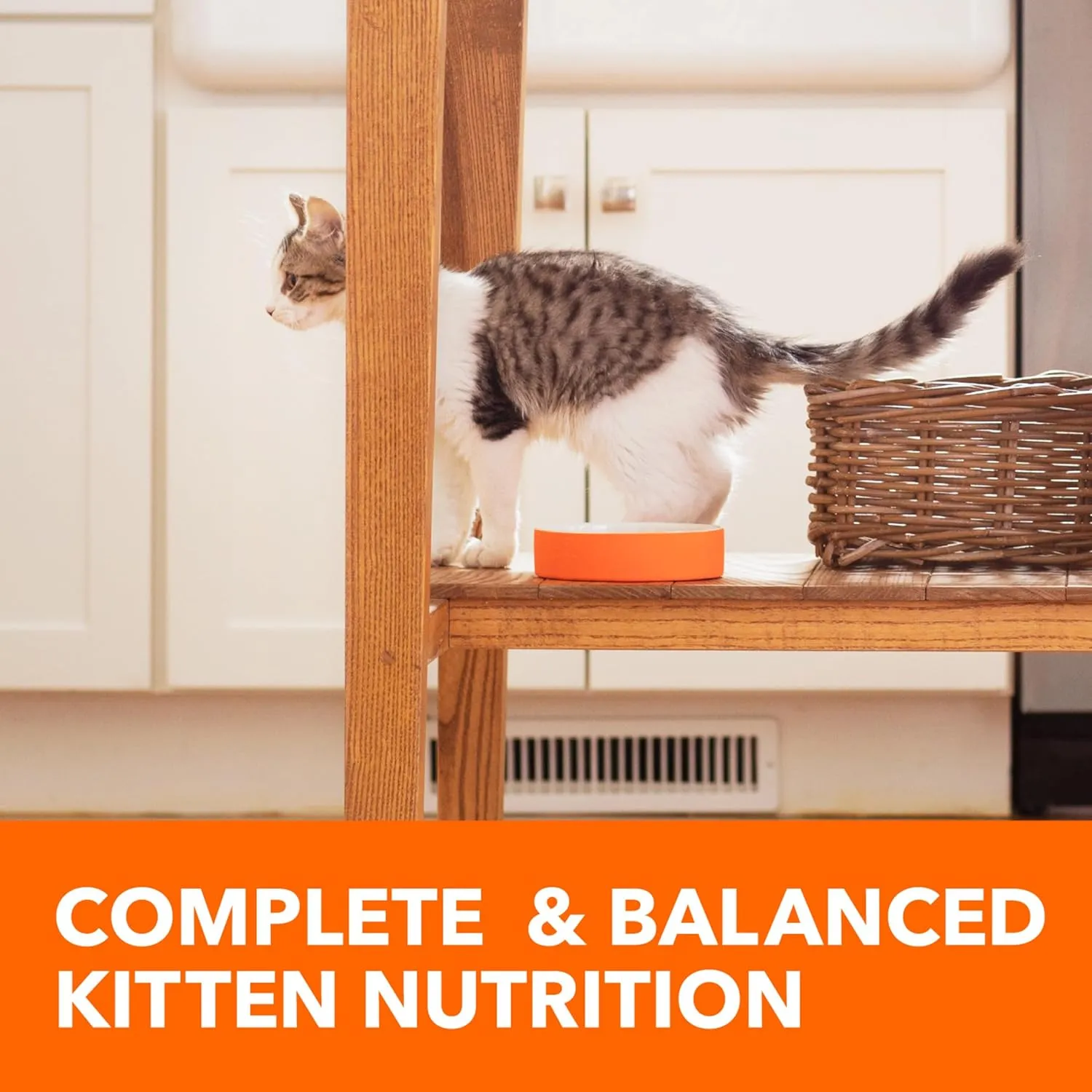IAMS Proactive Health Healthy Kitten Dry Cat Food with Chicken, 16 lb. Bag