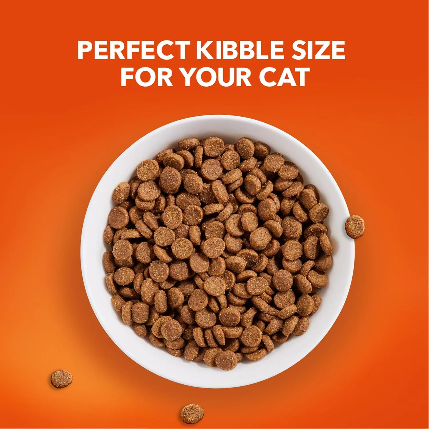 IAMS PROACTIVE HEALTH Healthy Senior Dry Cat Food with Chicken Cat Kibble, 16 lb. Bag