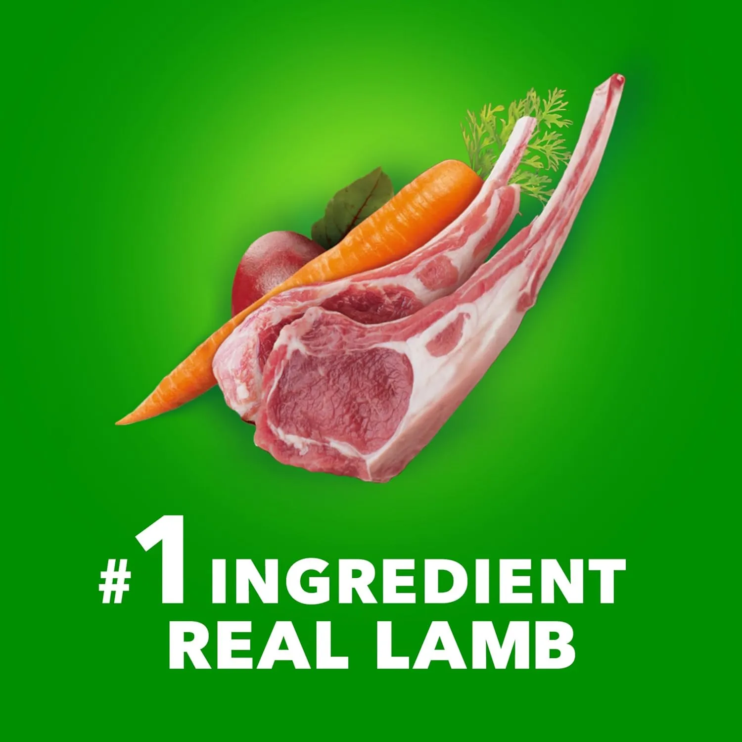 IAMS Proactive Health Large Breed Adult Dry Dog Food Lamb & Rice Recipe, 40 lb. Bag
