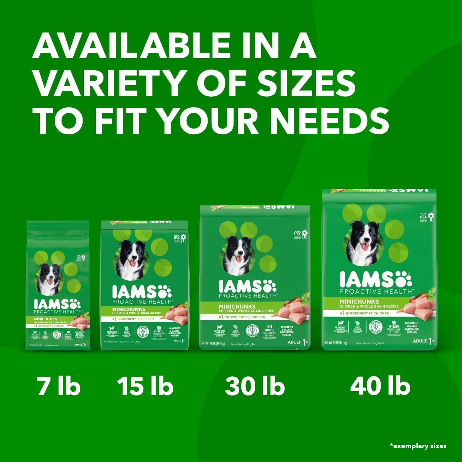 IAMS Proactive Health Minichunks Adult Dry Dog Food with Real Chicken, 40 lb. Bag