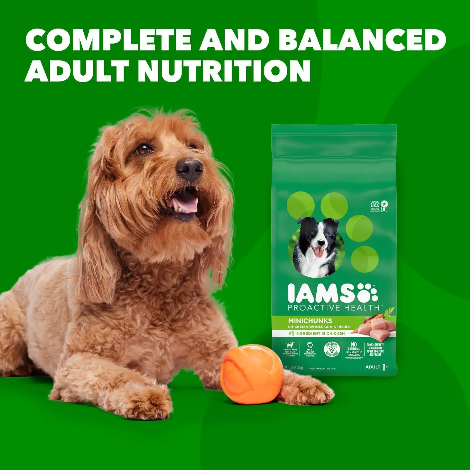 IAMS Proactive Health Minichunks Adult Dry Dog Food with Real Chicken and Whole Grains, 7 lb. Bag
