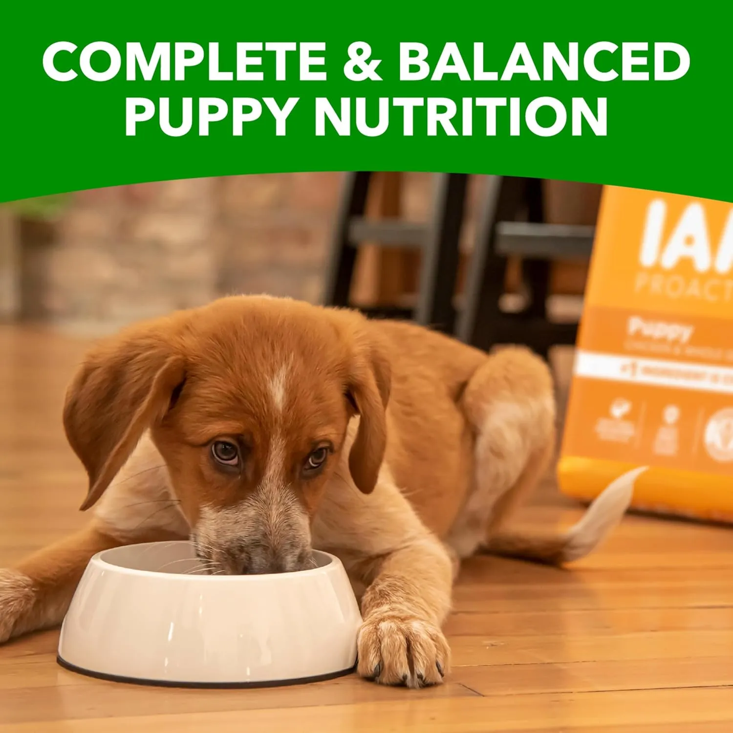 IAMS Proactive Health Smart Puppy Dry Dog Food with Real Chicken, 15 lb. Bag