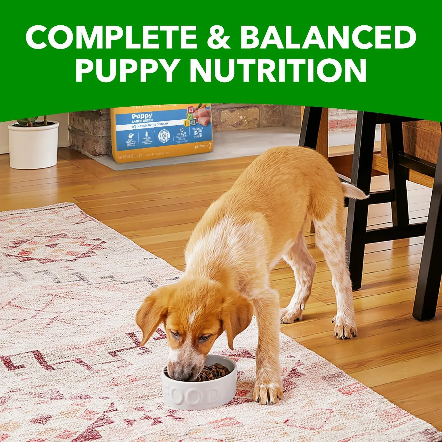 IAMS Smart Puppy Large Breed Dog Food Dry with Real Chicken, 30.6 lb. Bag