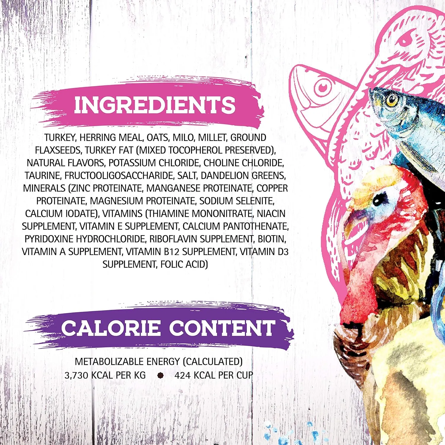 Inception® Dry Cat Food Turkey & Herring Recipe – Complete and Balanced Cat Food – Meat First Legume Free Dry Cat Food – 4lb. Bag