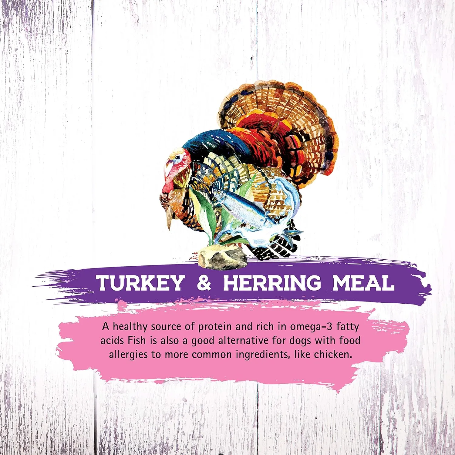 Inception® Dry Cat Food Turkey & Herring Recipe – Complete and Balanced Cat Food – Meat First Legume Free Dry Cat Food – 4lb. Bag