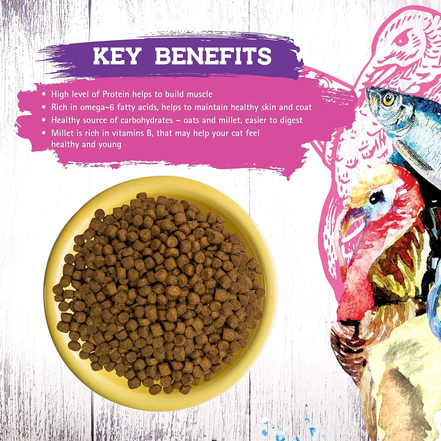 Inception® Dry Cat Food Turkey & Herring Recipe – Complete and Balanced Cat Food – Meat First Legume Free Dry Cat Food – 4lb. Bag