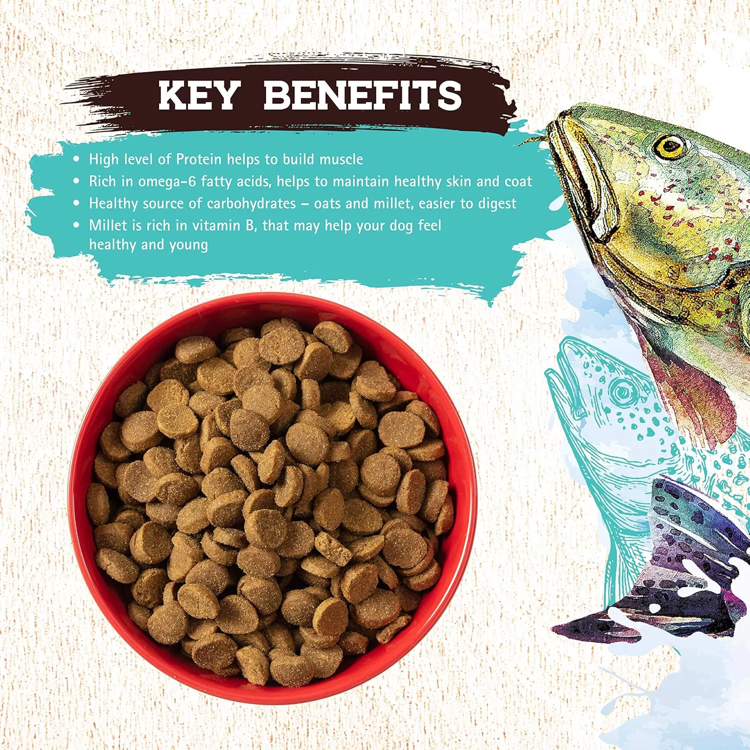 Inception® Dry Dog Food Fish Recipe – Complete and Balanced Dog Food – Legume Free Meat First Dry Dog Food – 4 lb. Bag (13278)