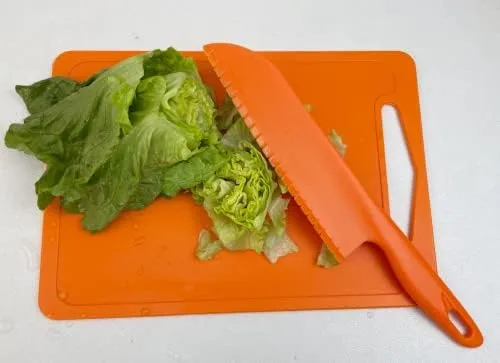 jawbush 11" Plastic Serrated Bread Knife to Cut Veggies, Salad, Cake or Brownies, Professional Lettuce Knife to Prevent Browning, Nylon Knife for Nonstick Pans, Durable and BPA free, Orange