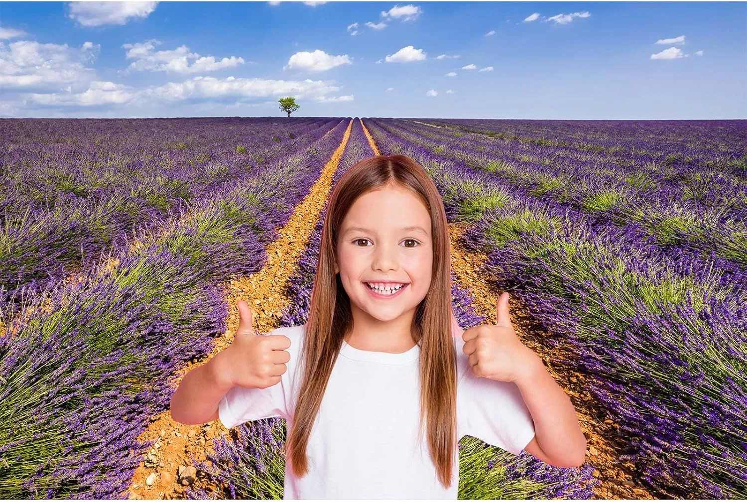 Lavender Fields Photography Background Summer Olive Trees Alps Natural Landscape Backdrop Provence Lavender Fields Backdrop Decors Euro France Travel Hiking Outdoor Birthday Background Props 7x5ft