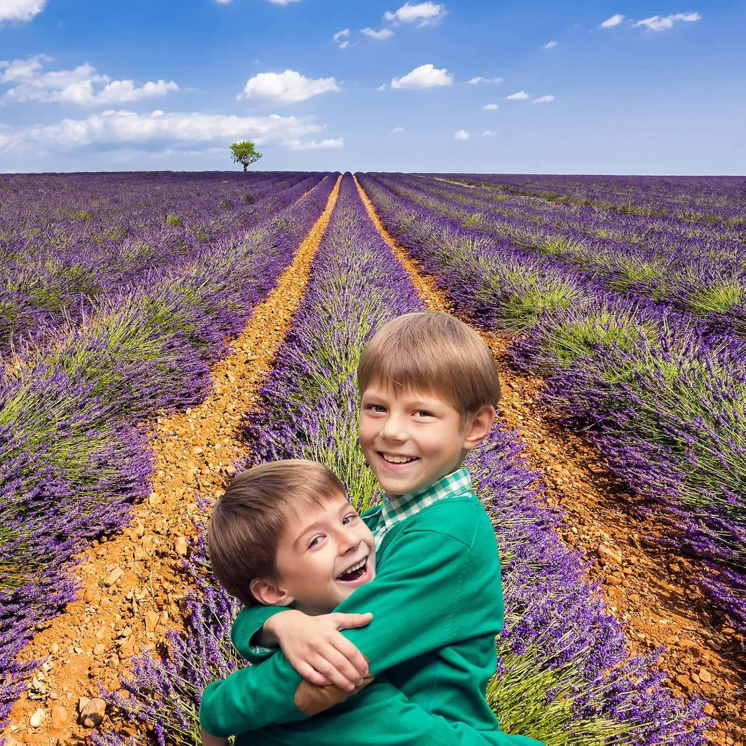 Lavender Fields Photography Background Summer Olive Trees Alps Natural Landscape Backdrop Provence Lavender Fields Backdrop Decors Euro France Travel Hiking Outdoor Birthday Background Props 7x5ft